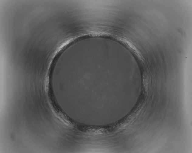 X0000112060488200908111415