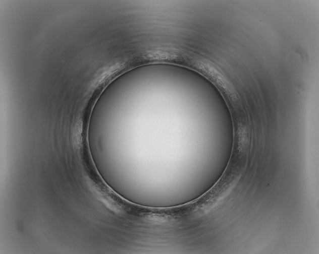 X0000112060490200908111415