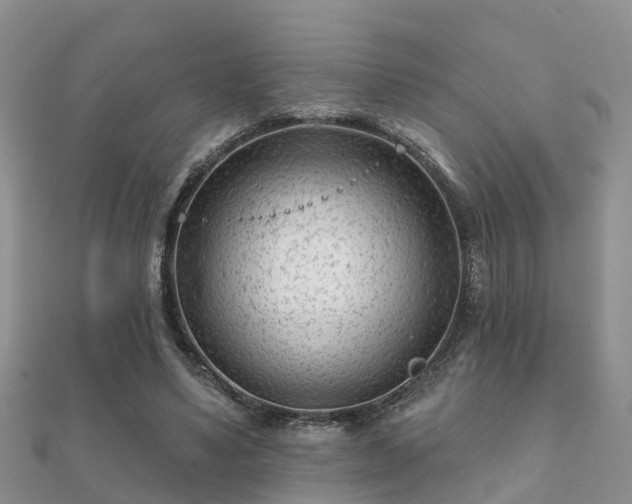 X0000112060491200908111415