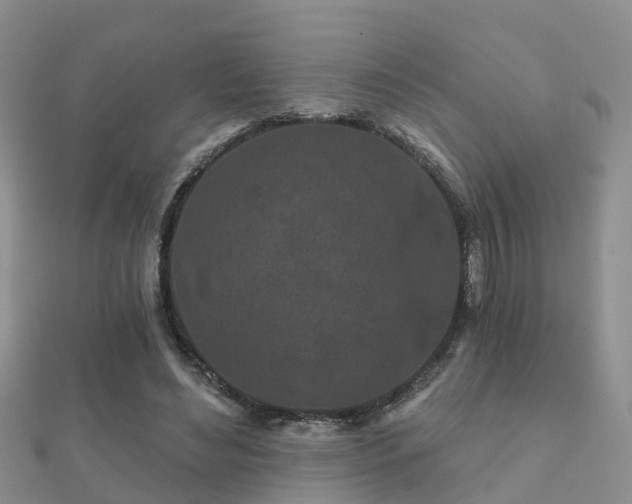 X0000112060492200908111415