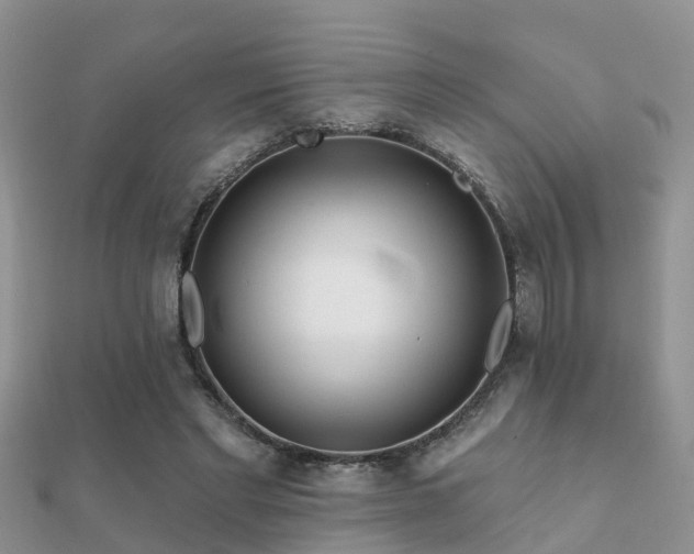 X0000112060493200908111415