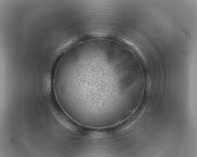 X0000112060494200908111415