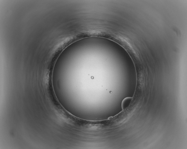 X0000112060495200908111415