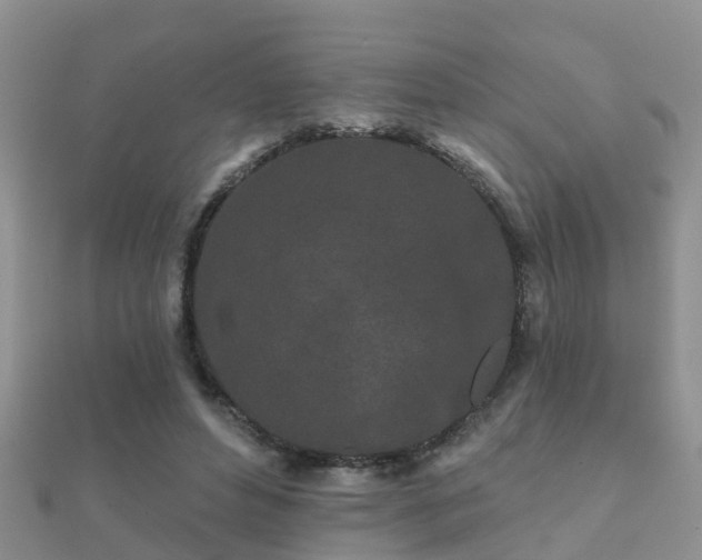 X0000112060496200908111415