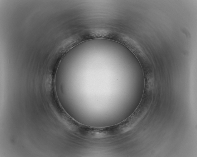 X0000112060498200908111415
