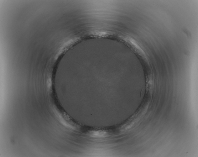 X0000112060500200908111415