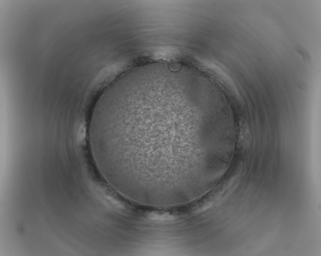 X0000112060502200908111415