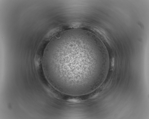 X0000112060503200908111415