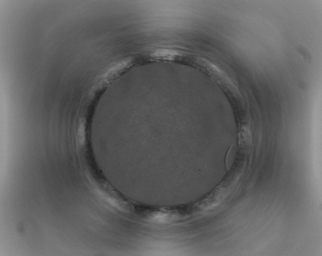 X0000112060504200908111415