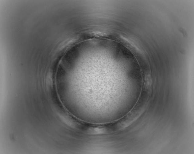 X0000112060506200908111415