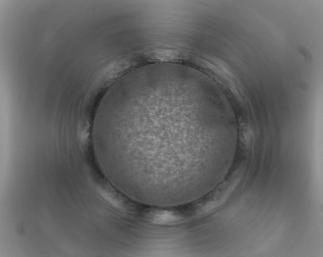 X0000112060507200908111415