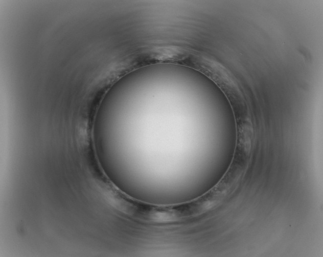 X0000112060510200908111415