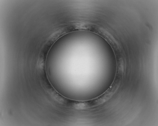 X0000112060513200908111415