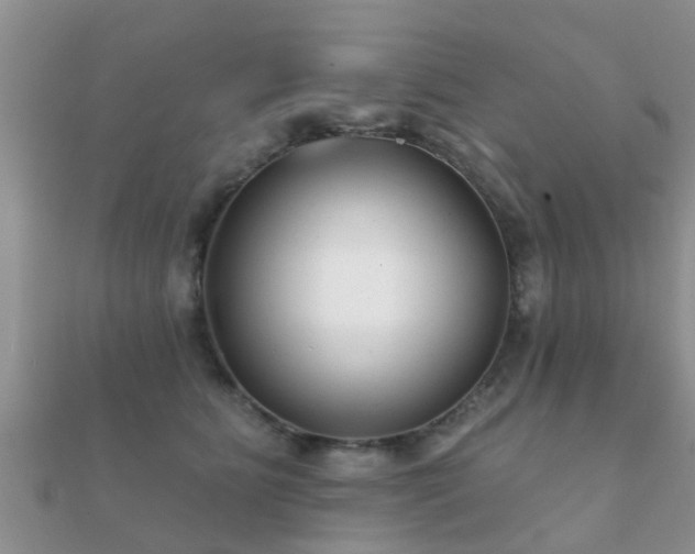 X0000112060515200908111415