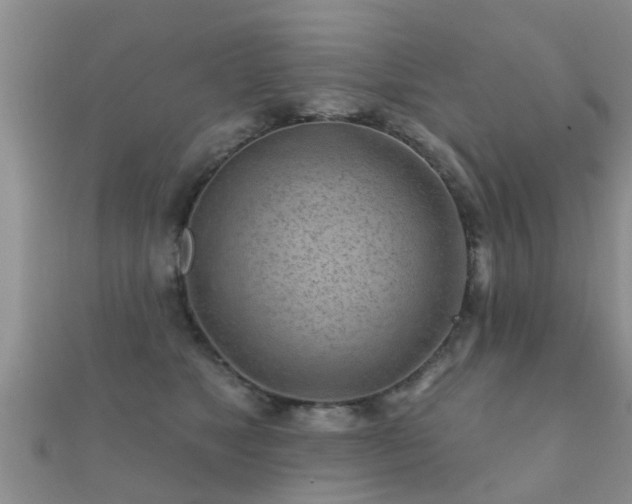 X0000112060517200908111415