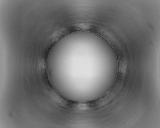X0000112060518200908111415