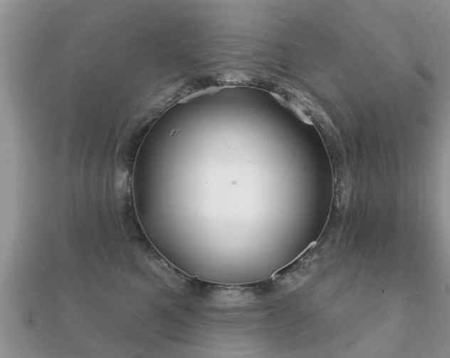 X0000112060521200908111415