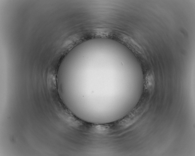 X0000112060522200908111415