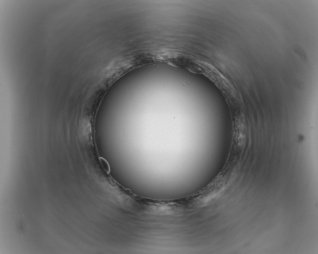 X0000112060523200908111415