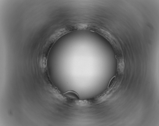 X0000112060525200908111415
