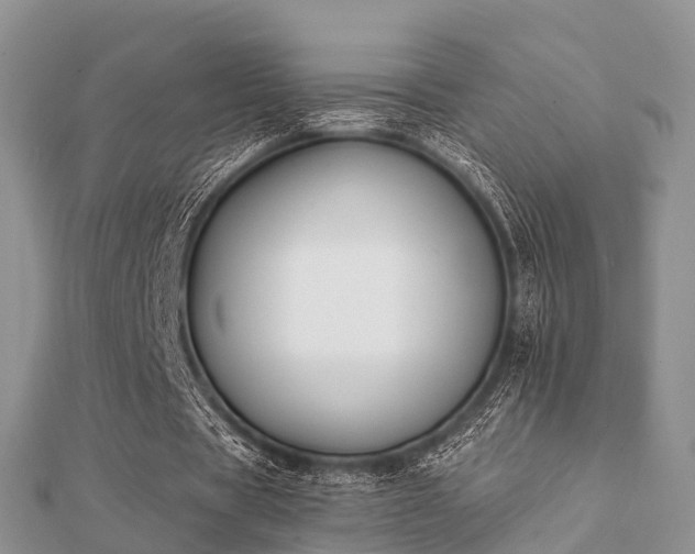 X0000112060529200908111414