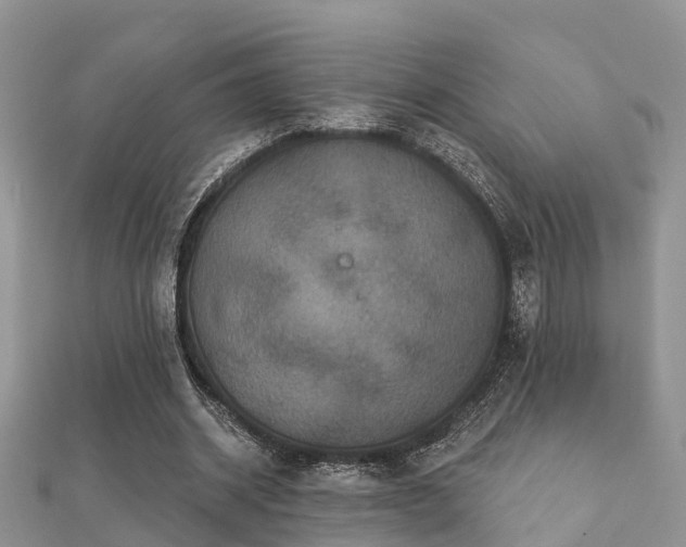 X0000112060534200908111414