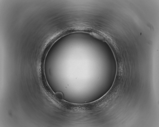 X0000112060535200908111414