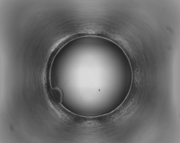 X0000112060536200908111414