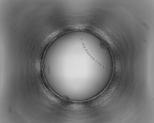 X0000112060537200908111414
