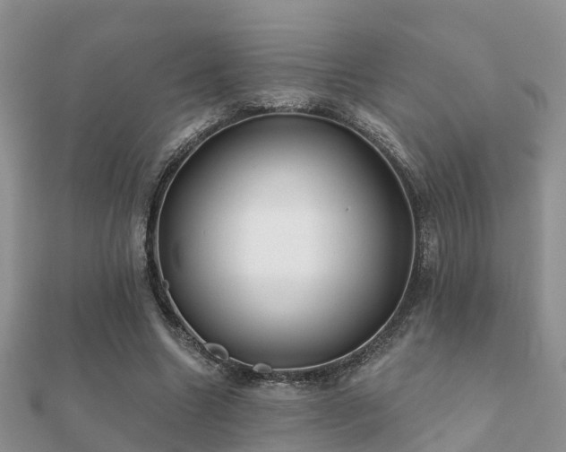 X0000112060538200908111414