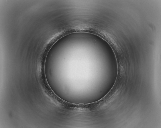 X0000112060539200908111414