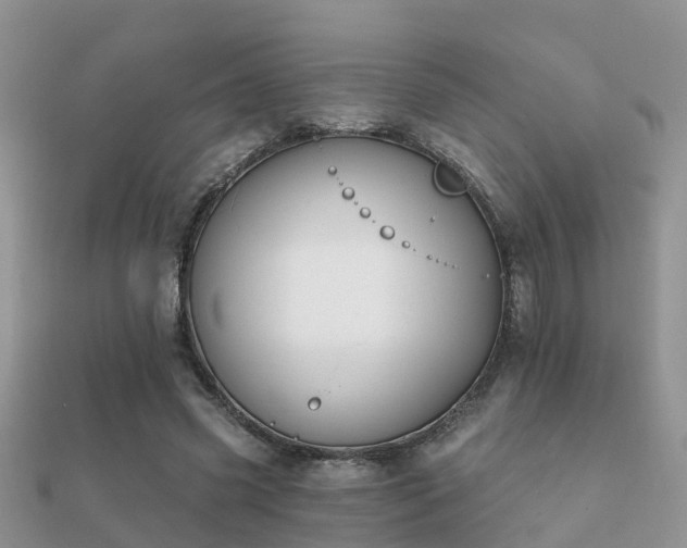 X0000112060541200908111414