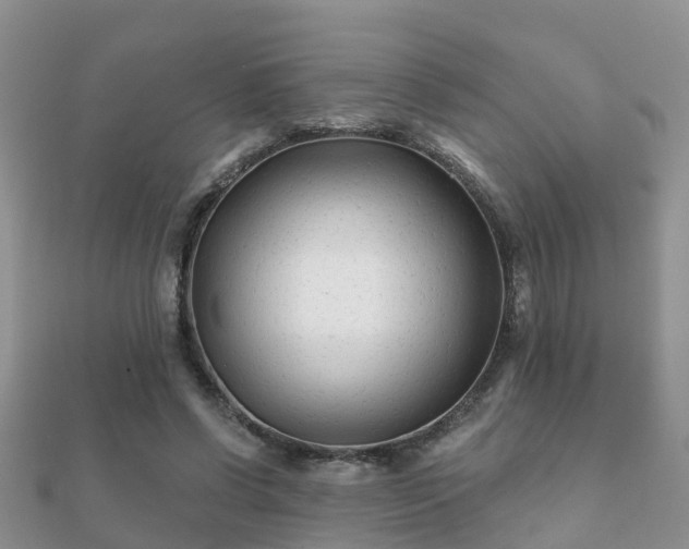 X0000112060542200908111414
