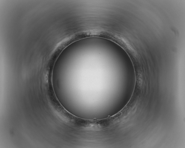X0000112060543200908111414