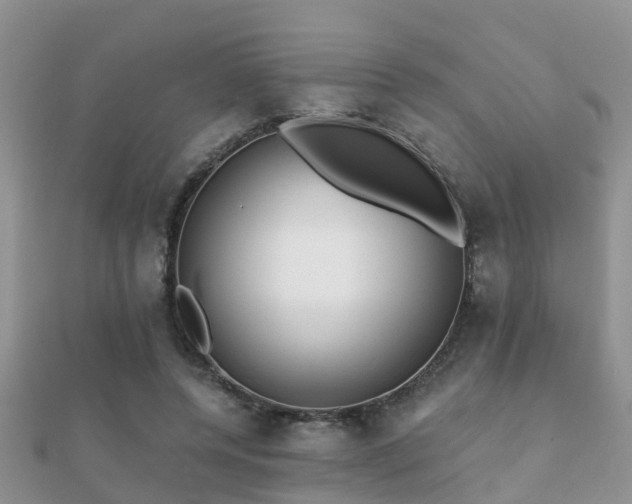 X0000112060544200908111414