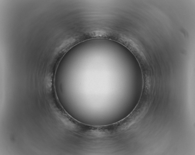 X0000112060545200908111414