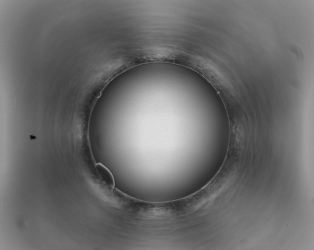 X0000112060546200908111414