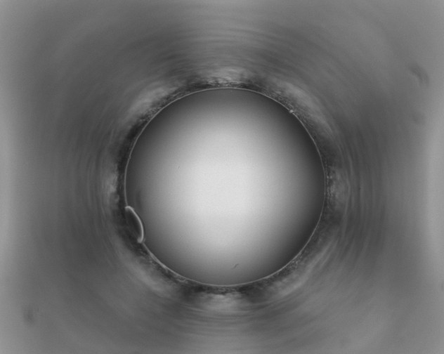 X0000112060548200908111414