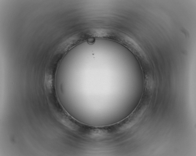 X0000112060549200908111414