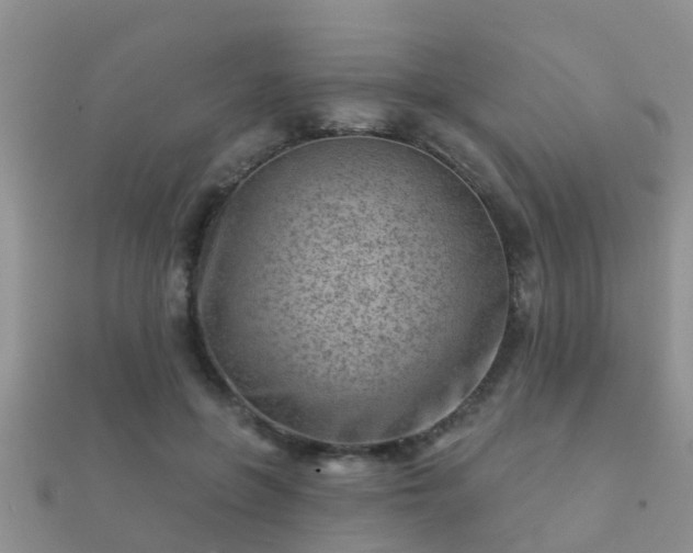 X0000112060551200908111414