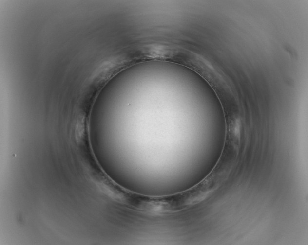 X0000112060554200908111414