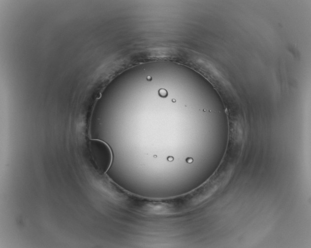 X0000112060557200908111414