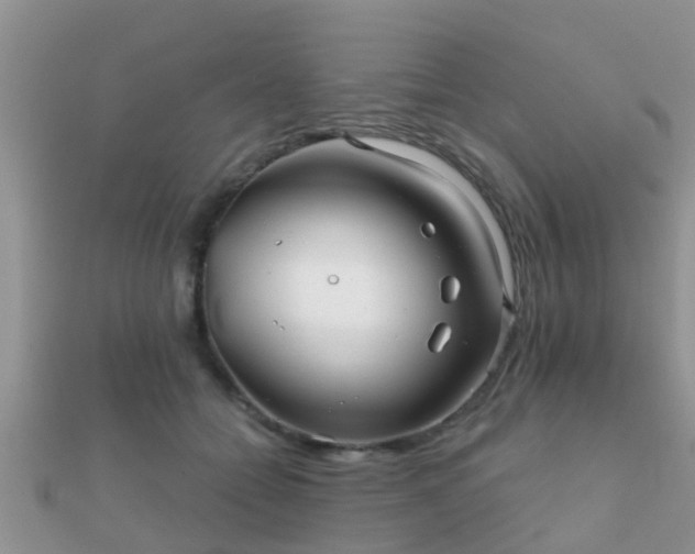 X0000112060558200908111414