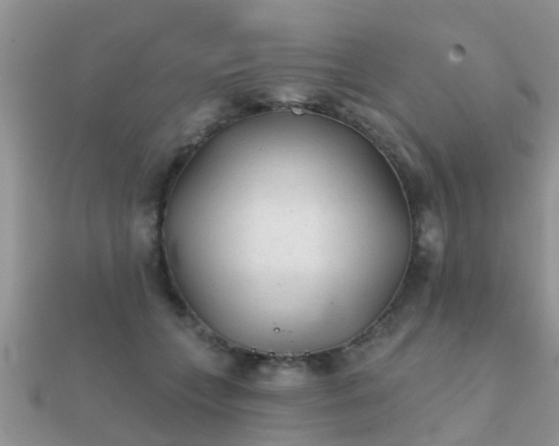 X0000112060559200908111414