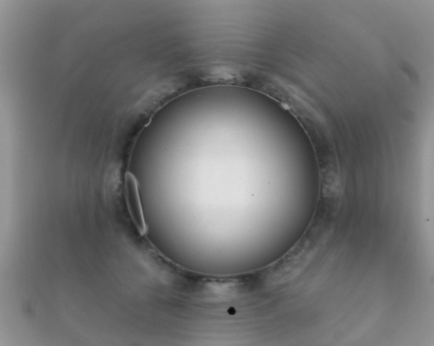 X0000112060560200908111414