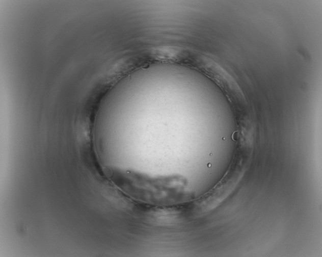 X0000112060561200908111414