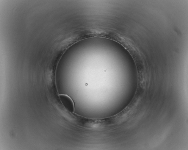 X0000112060563200908111414