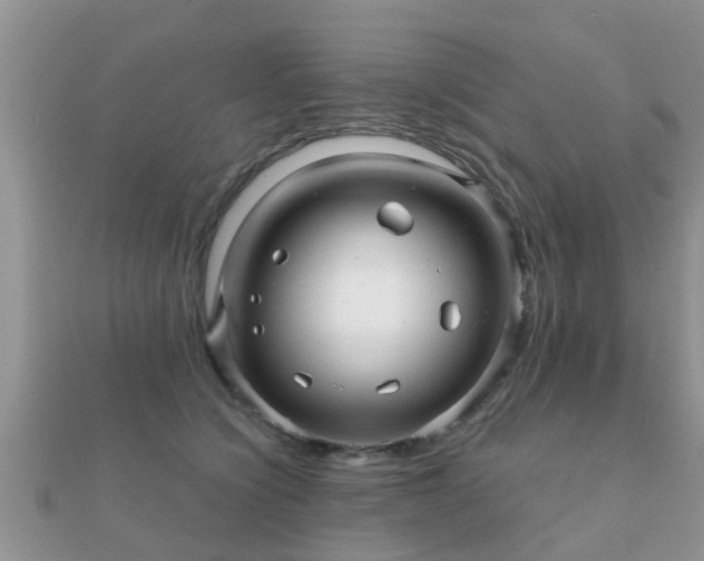 X0000112060564200908111414