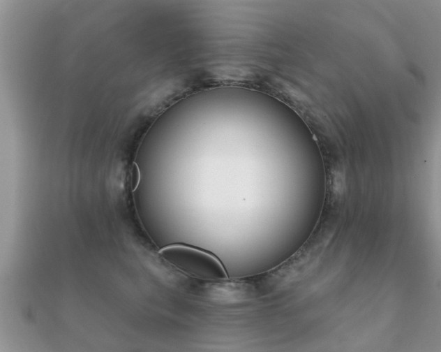 X0000112060567200908111414