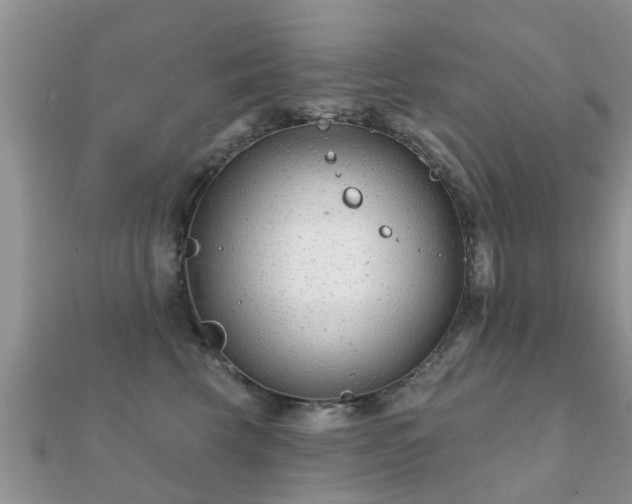 X0000112060569200908111414